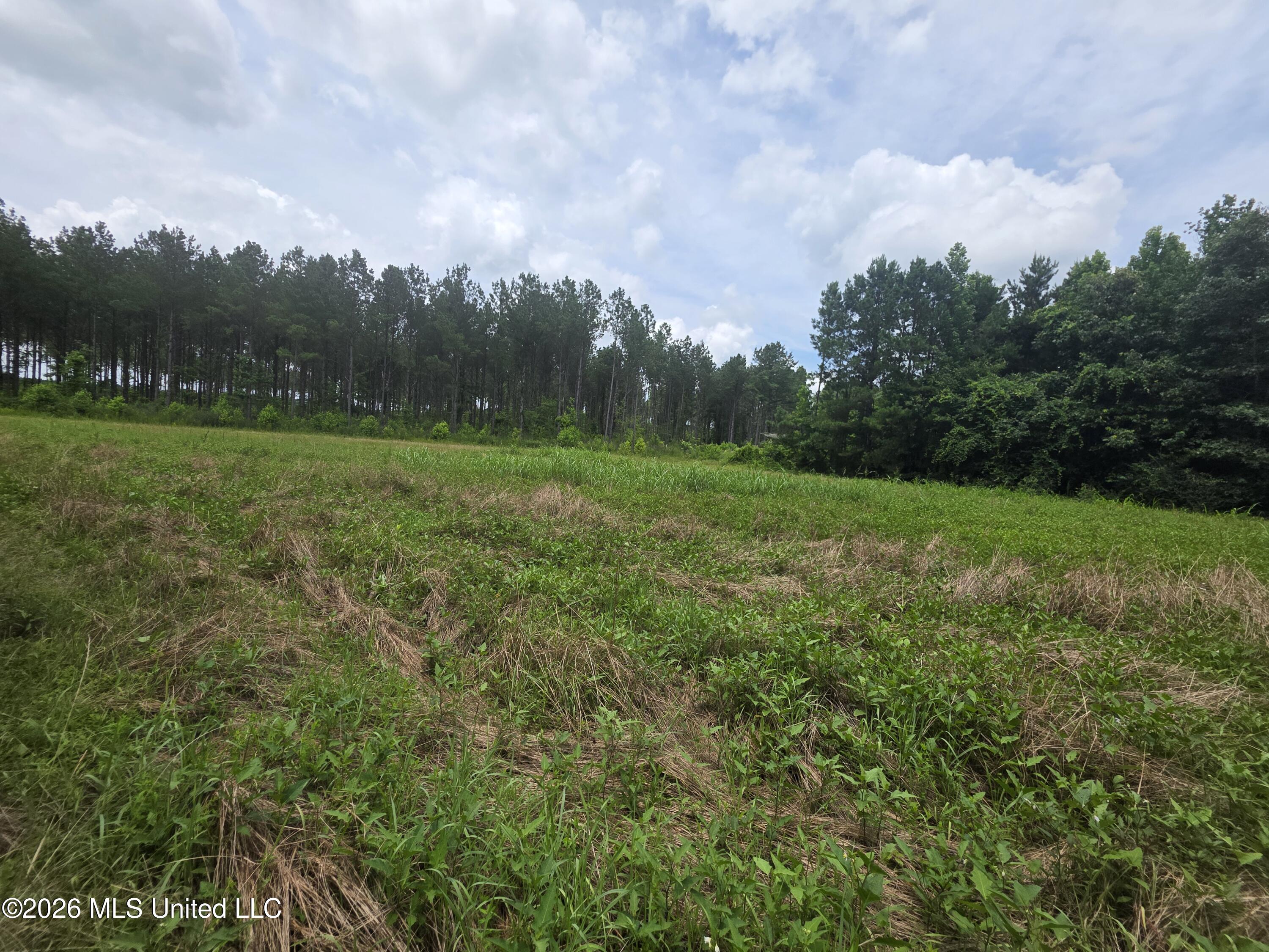 244 Foster Road Property Photo 55