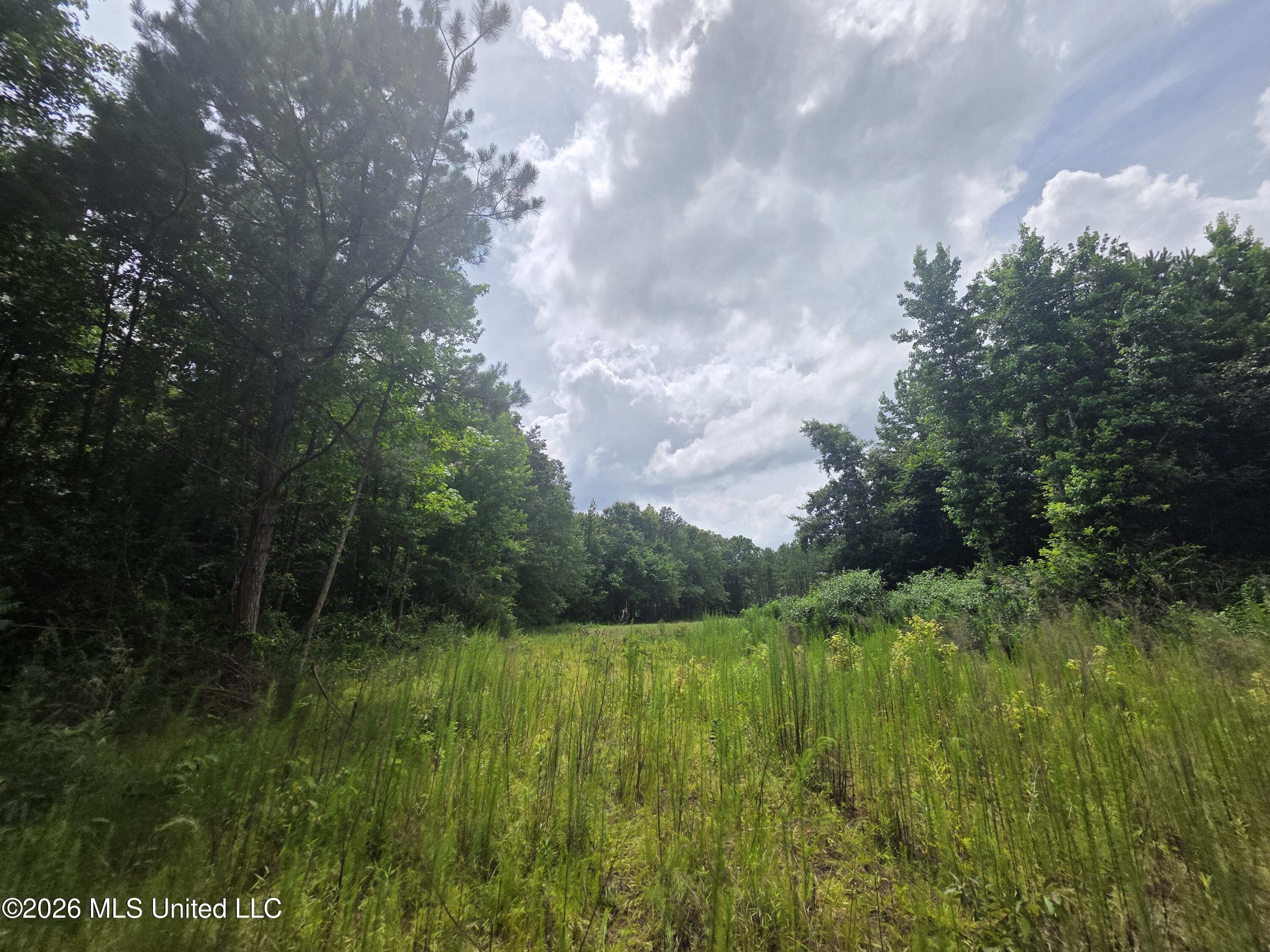 244 Foster Road Property Photo 61
