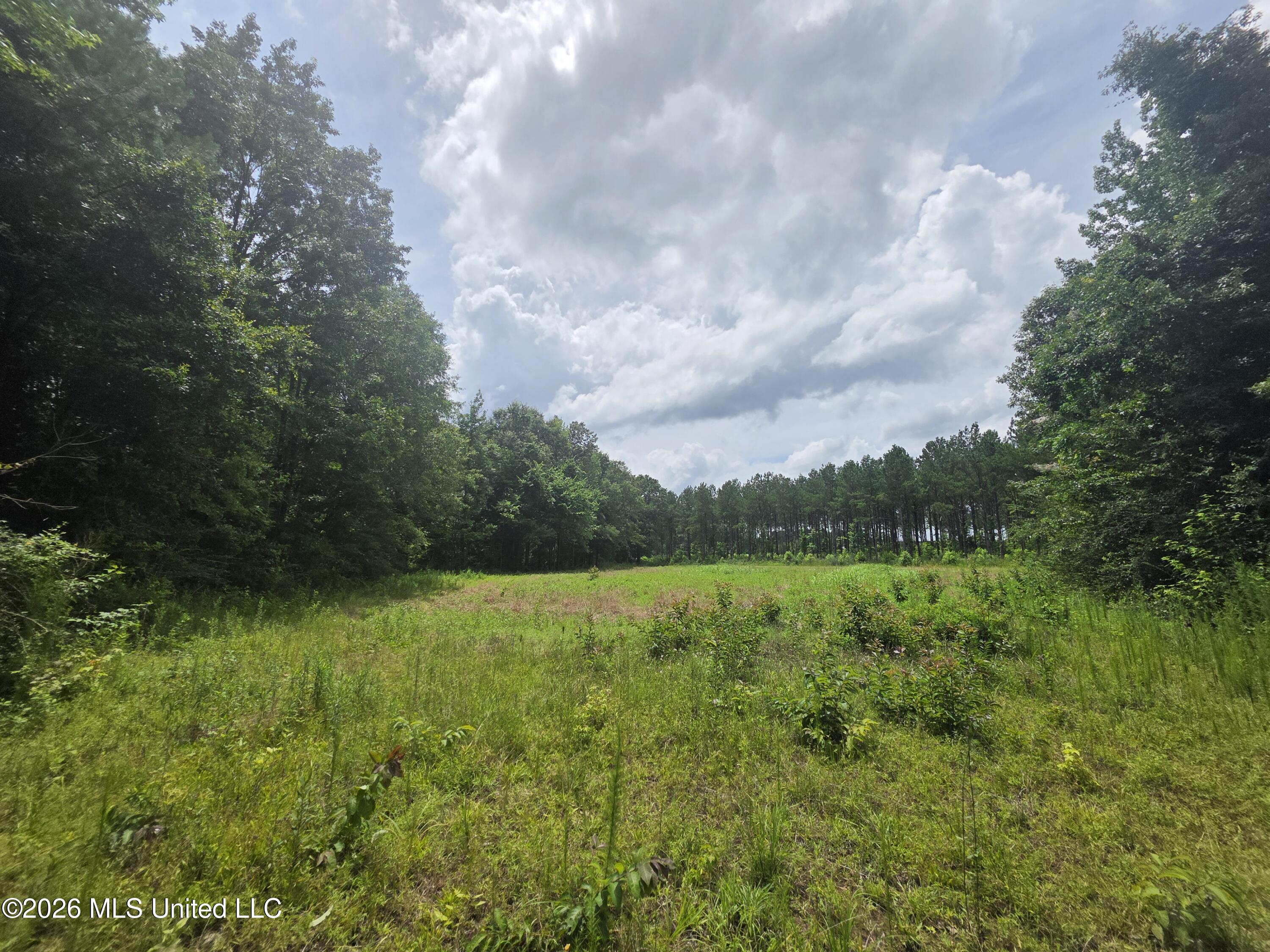 244 Foster Road Property Photo 62