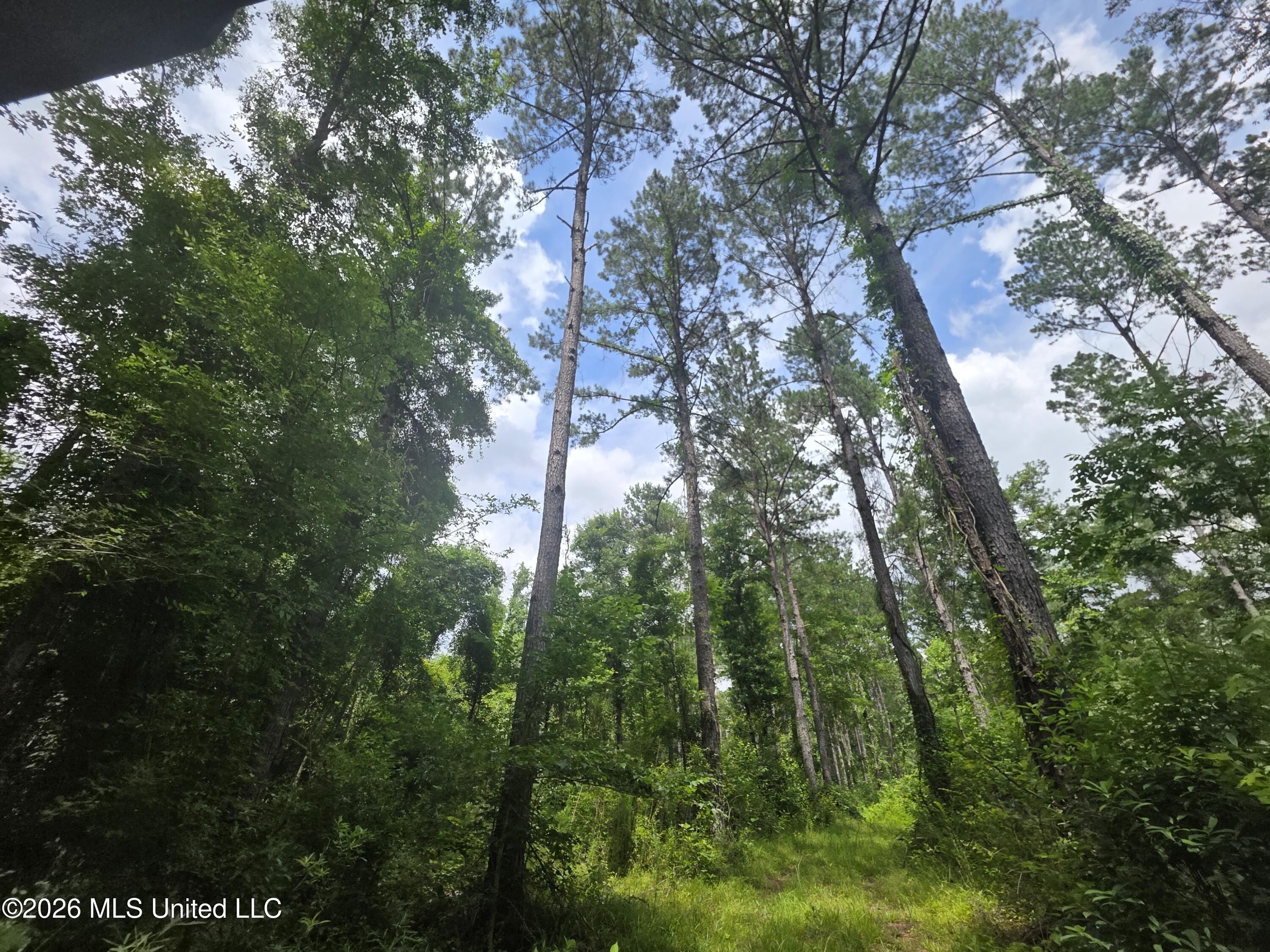 244 Foster Road Property Photo 63