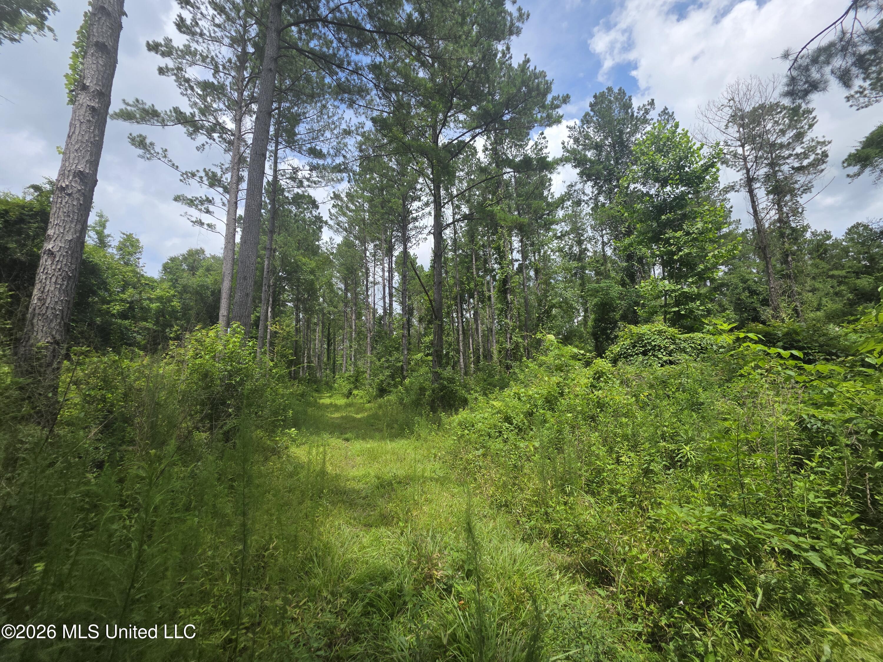 244 Foster Road Property Photo 64