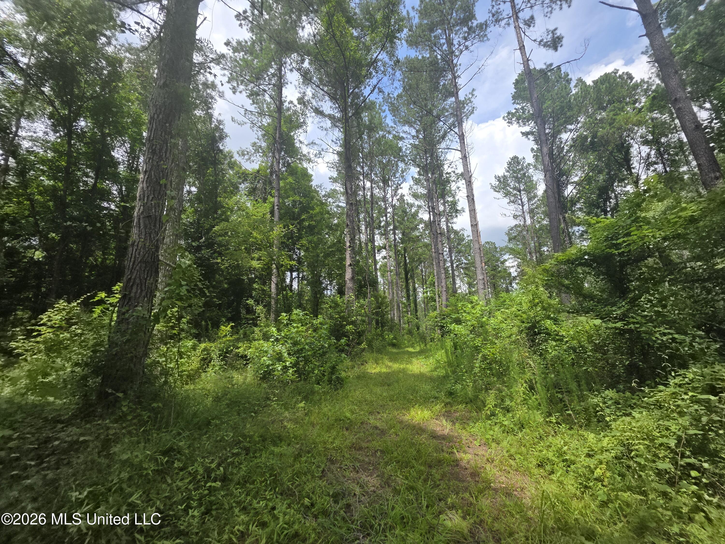 244 Foster Road Property Photo 65