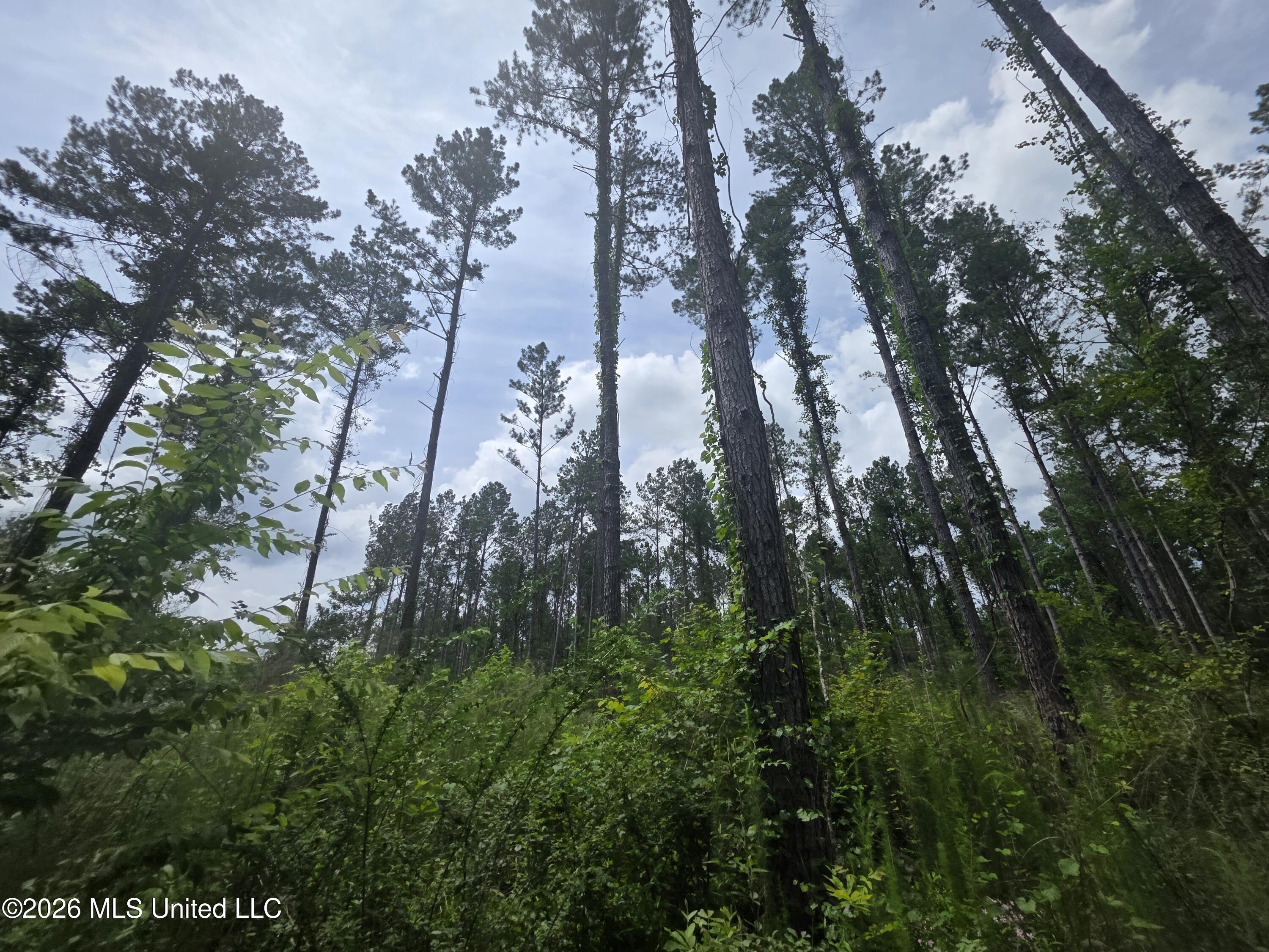 244 Foster Road Property Photo 66