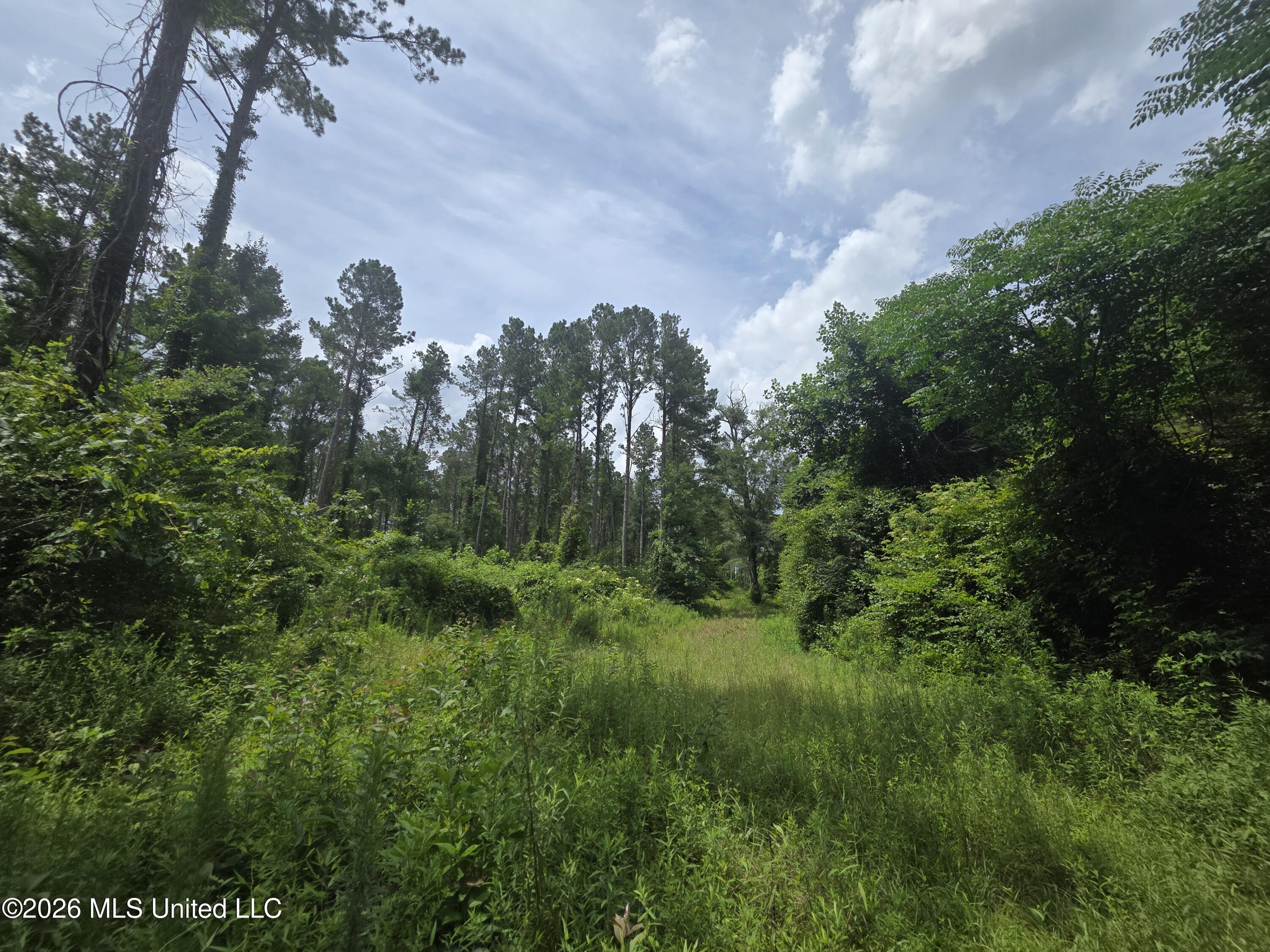 244 Foster Road Property Photo 68