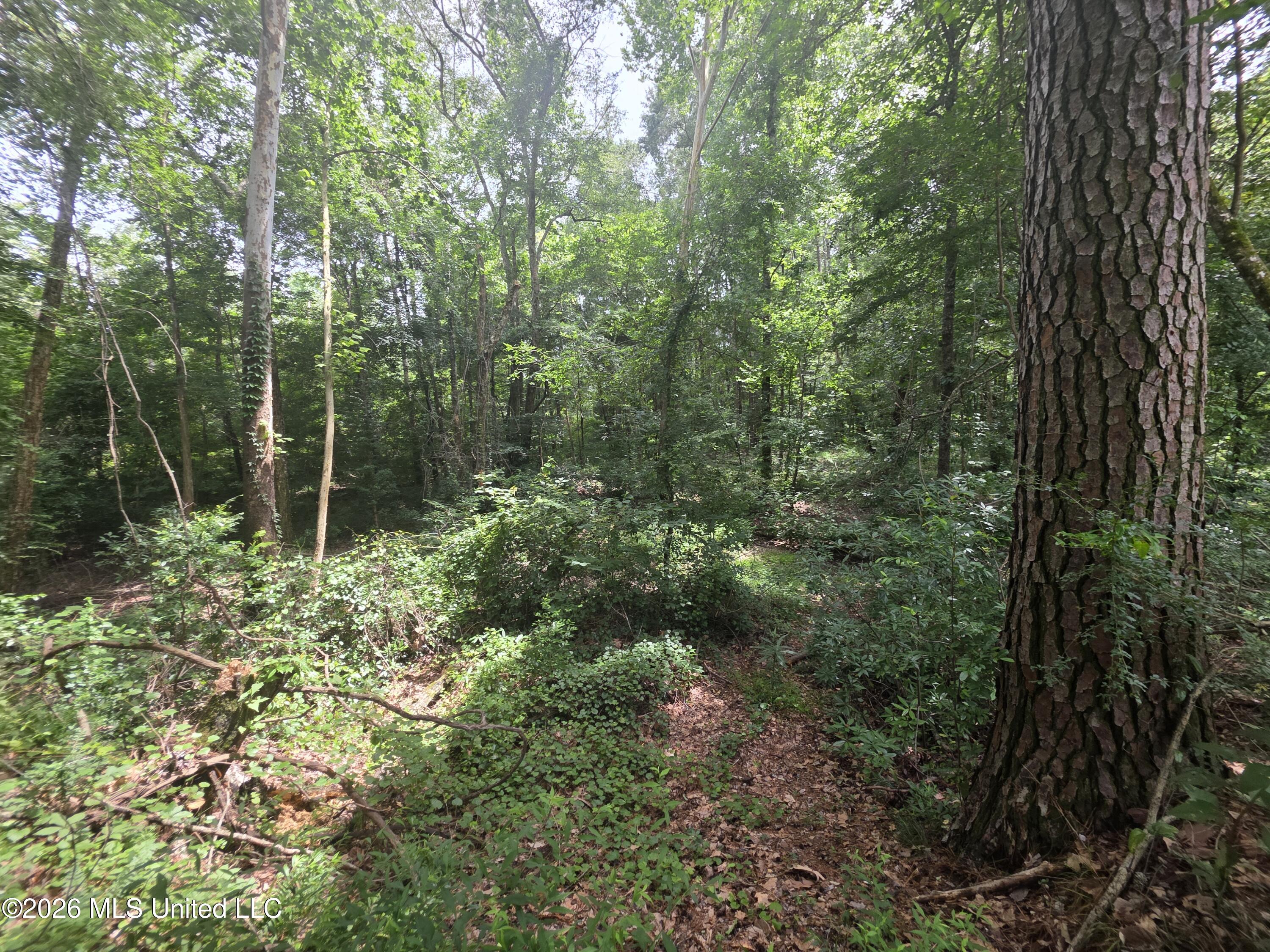 244 Foster Road Property Photo 75