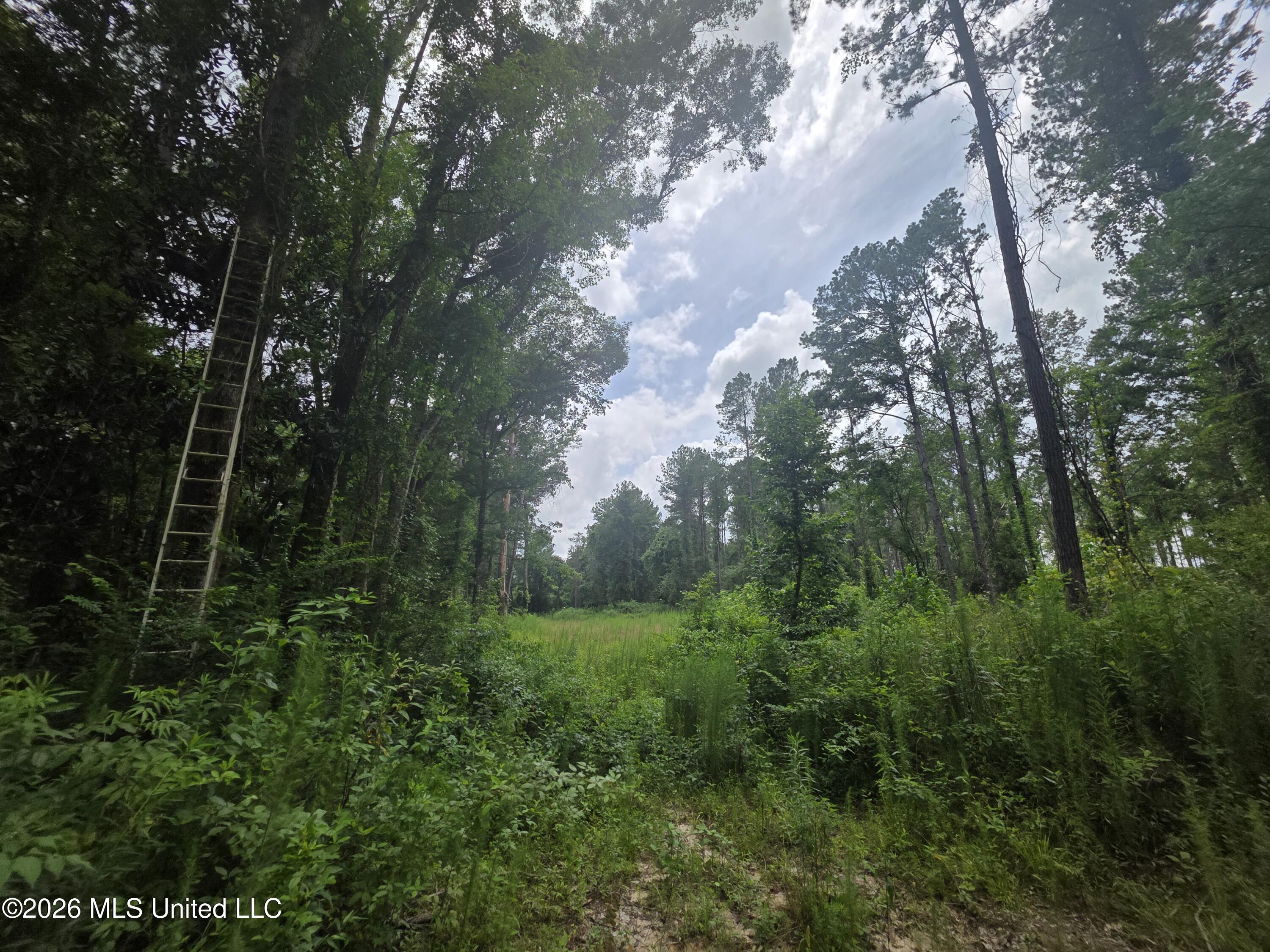 244 Foster Road Property Photo 76