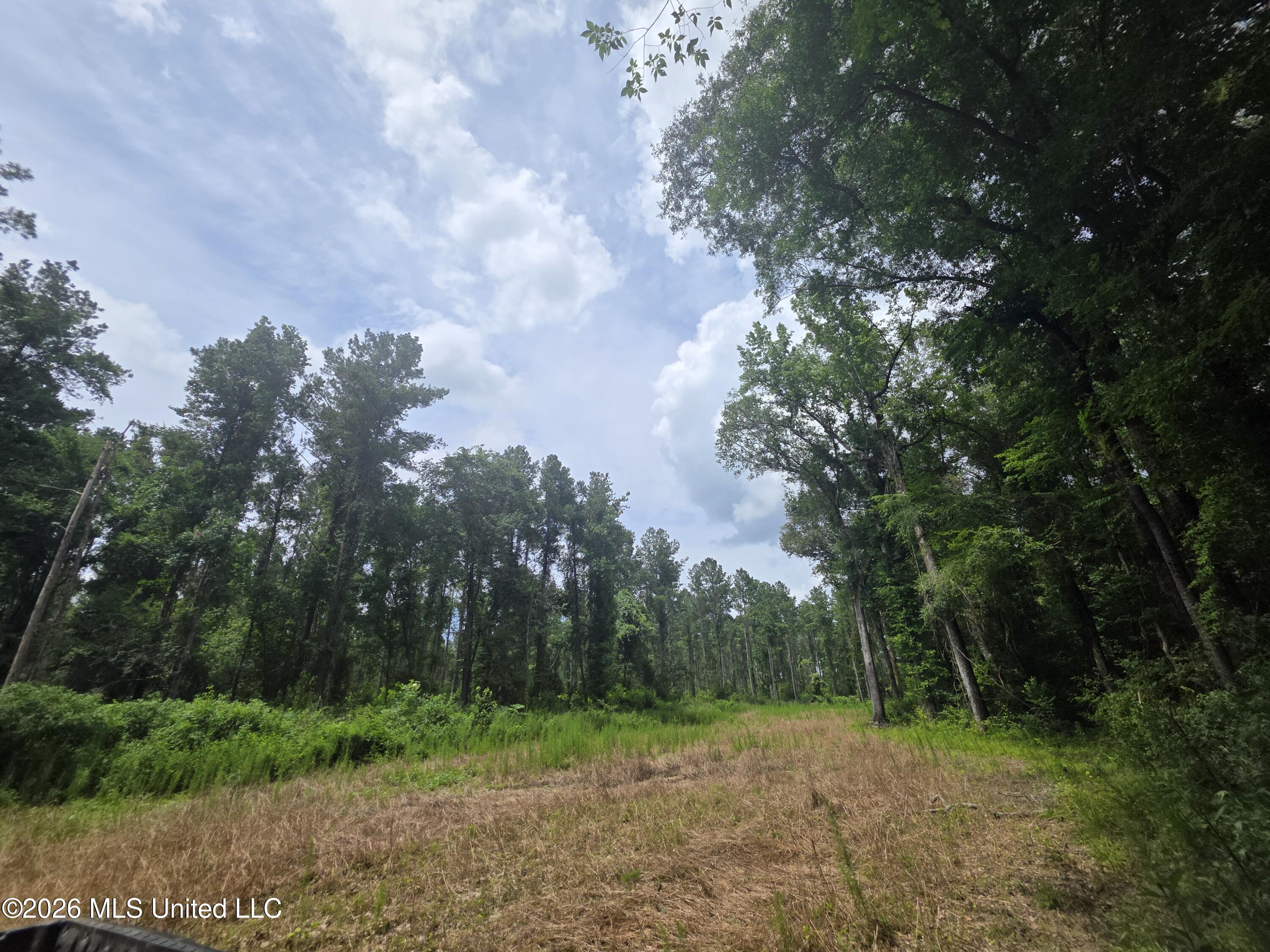 244 Foster Road Property Photo 77