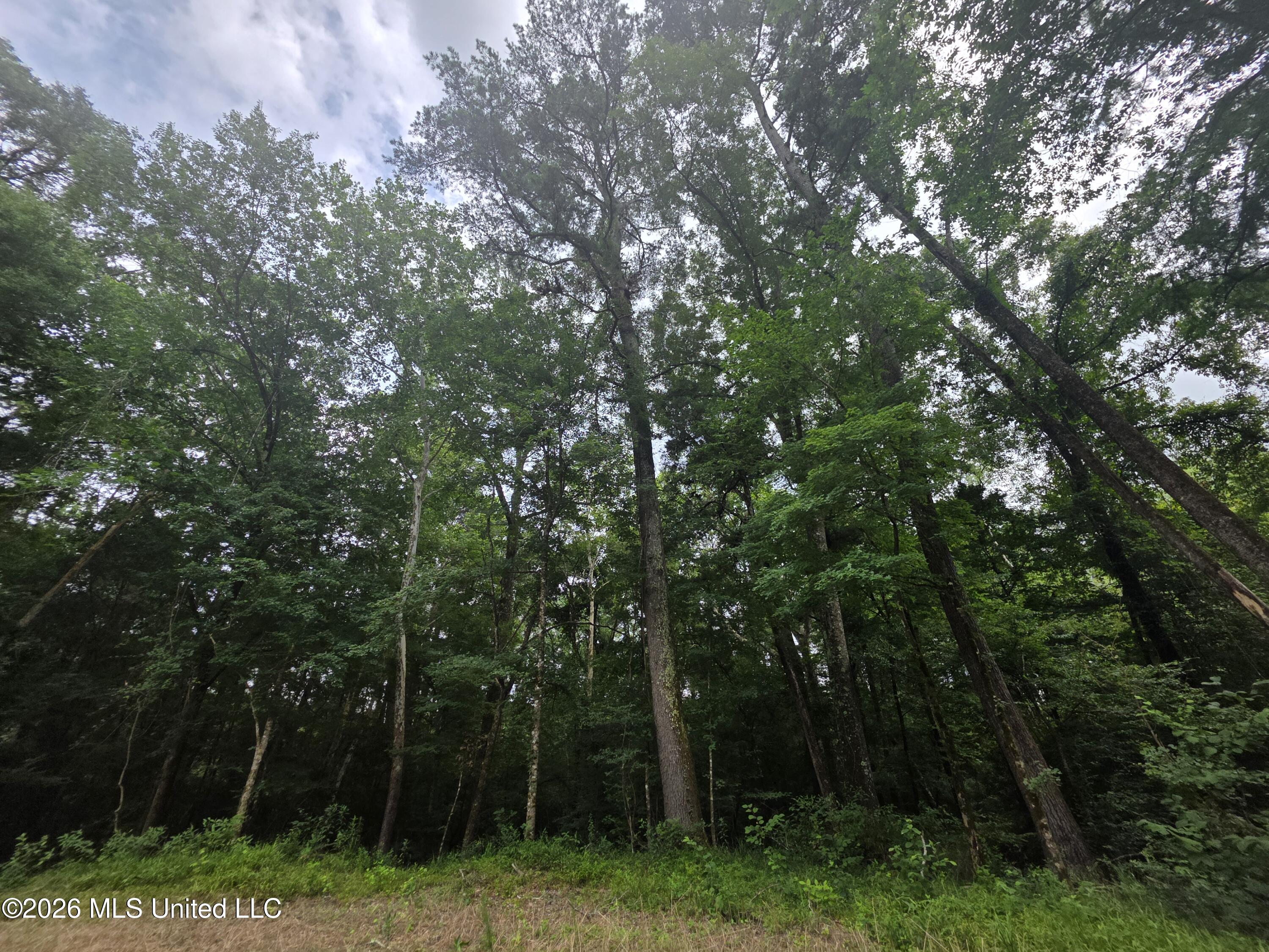 244 Foster Road Property Photo 78