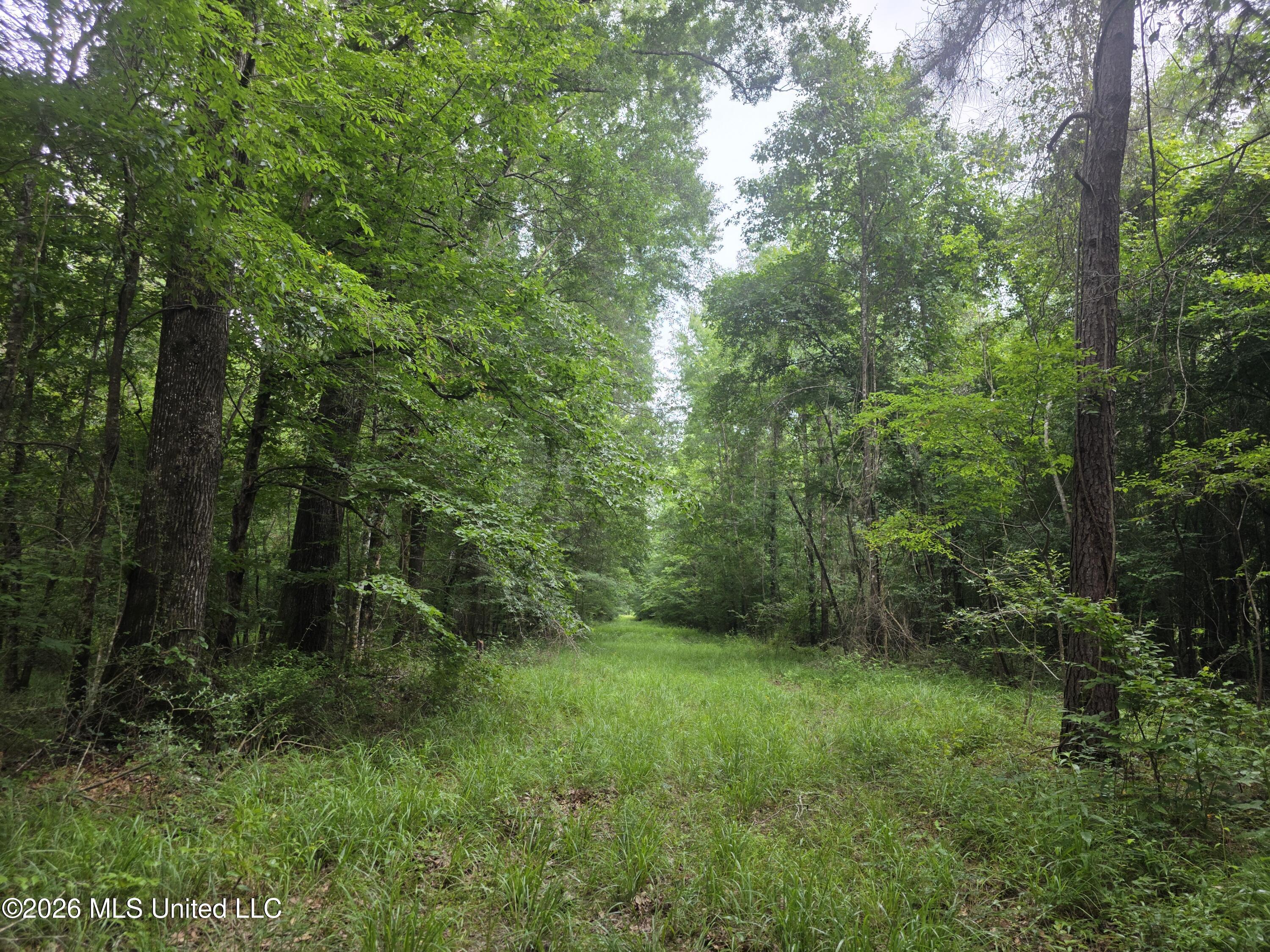 244 Foster Road Property Photo 81