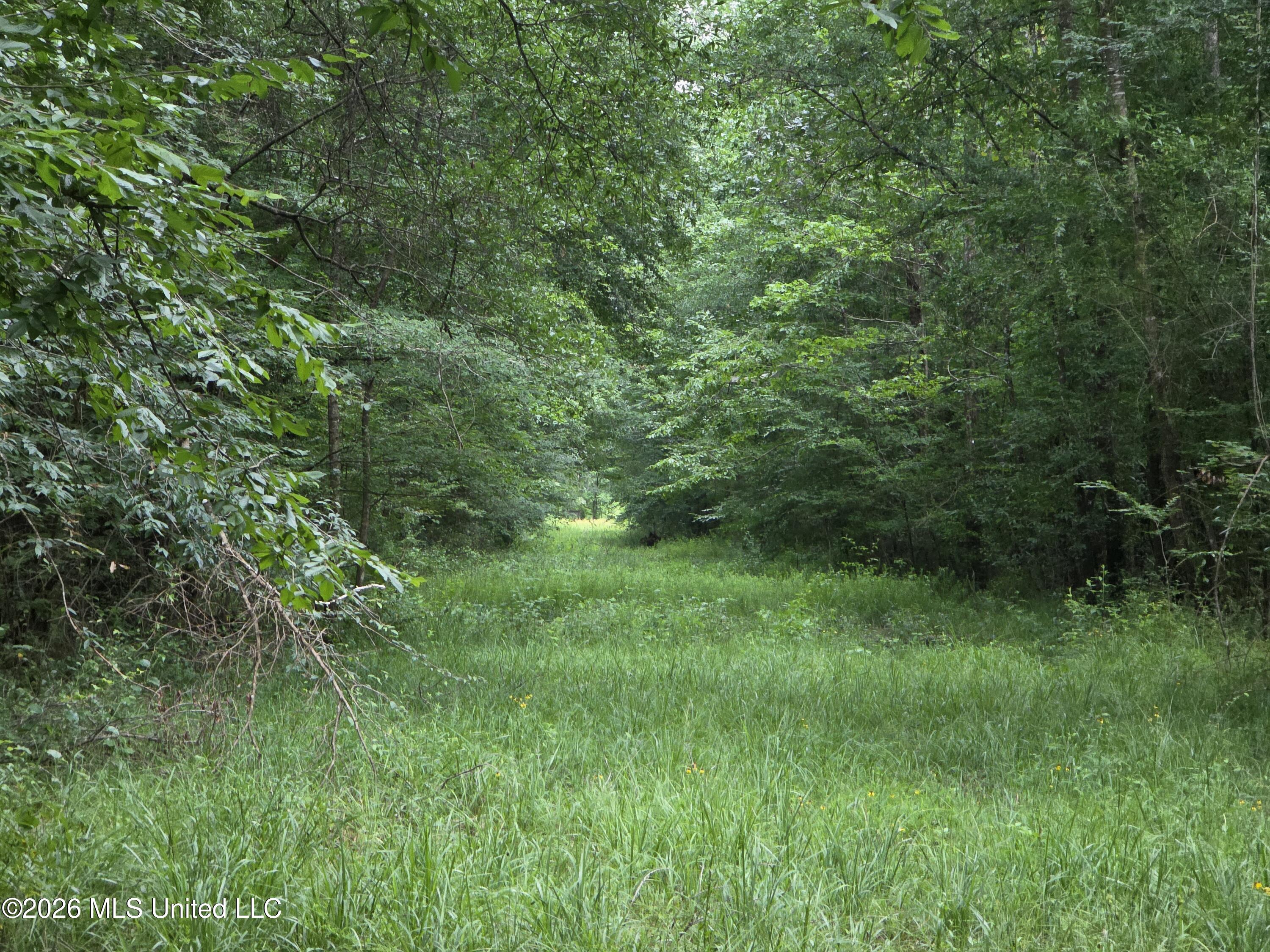 244 Foster Road Property Photo 83