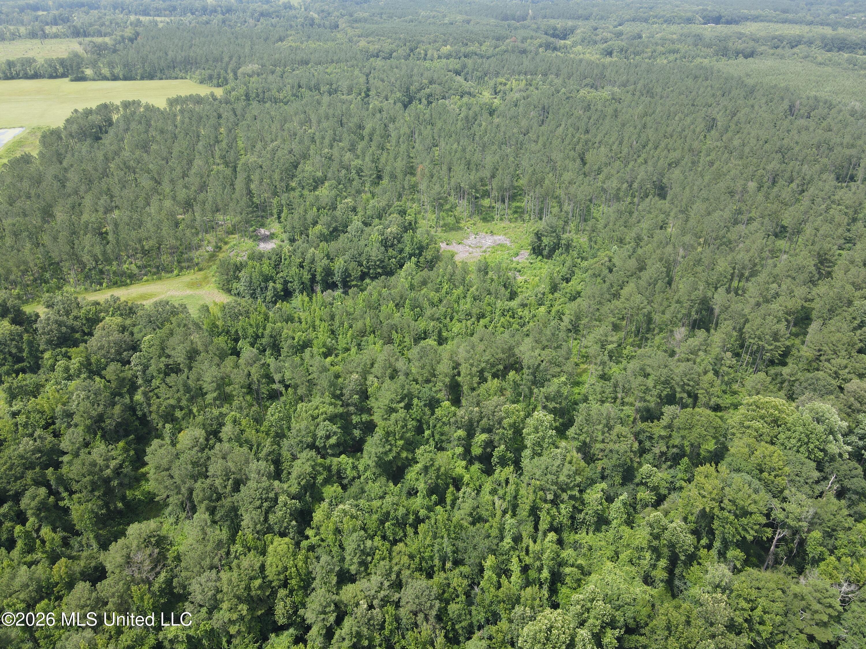244 Foster Road Property Photo 84