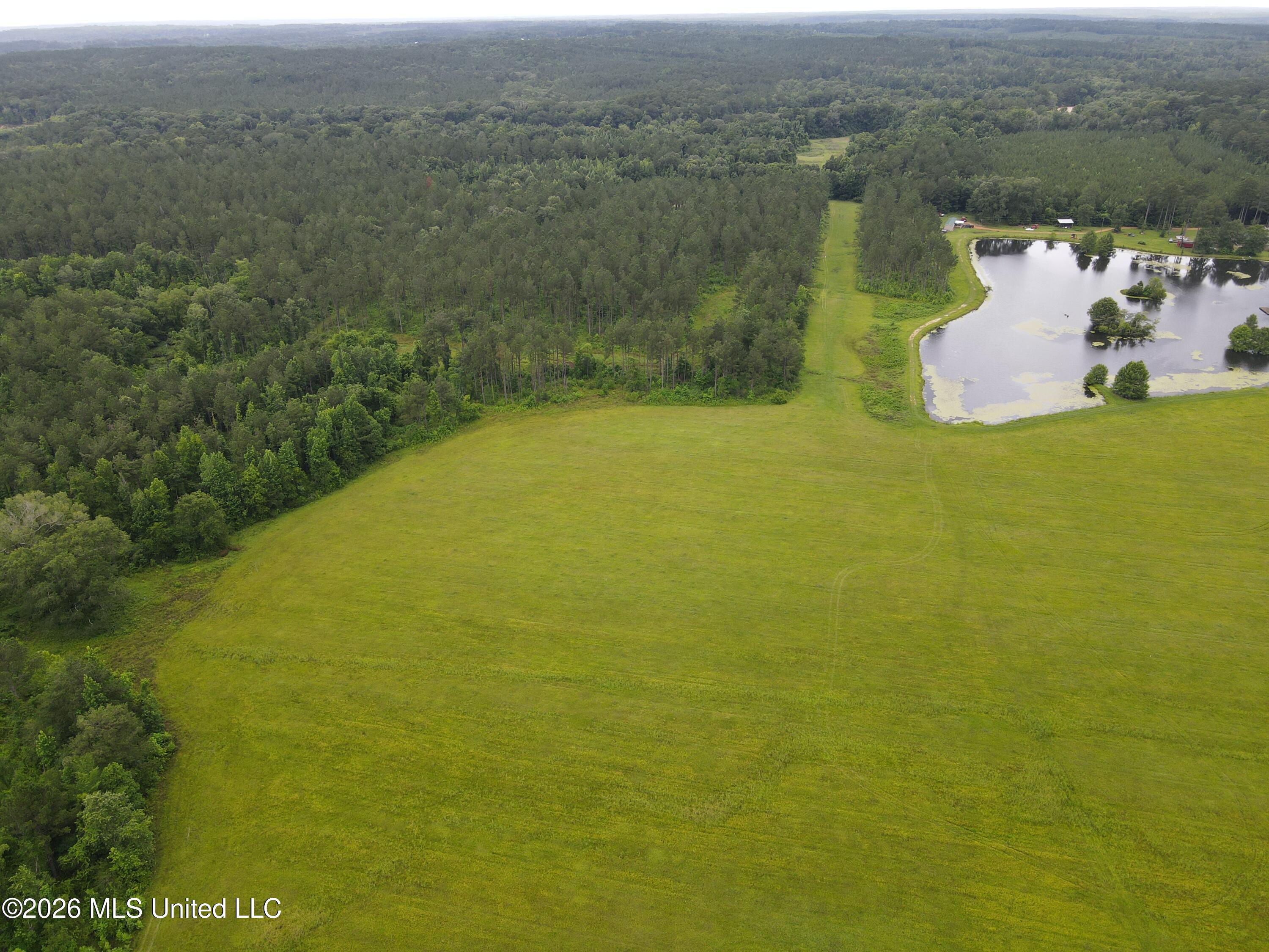 244 Foster Road Property Photo 87