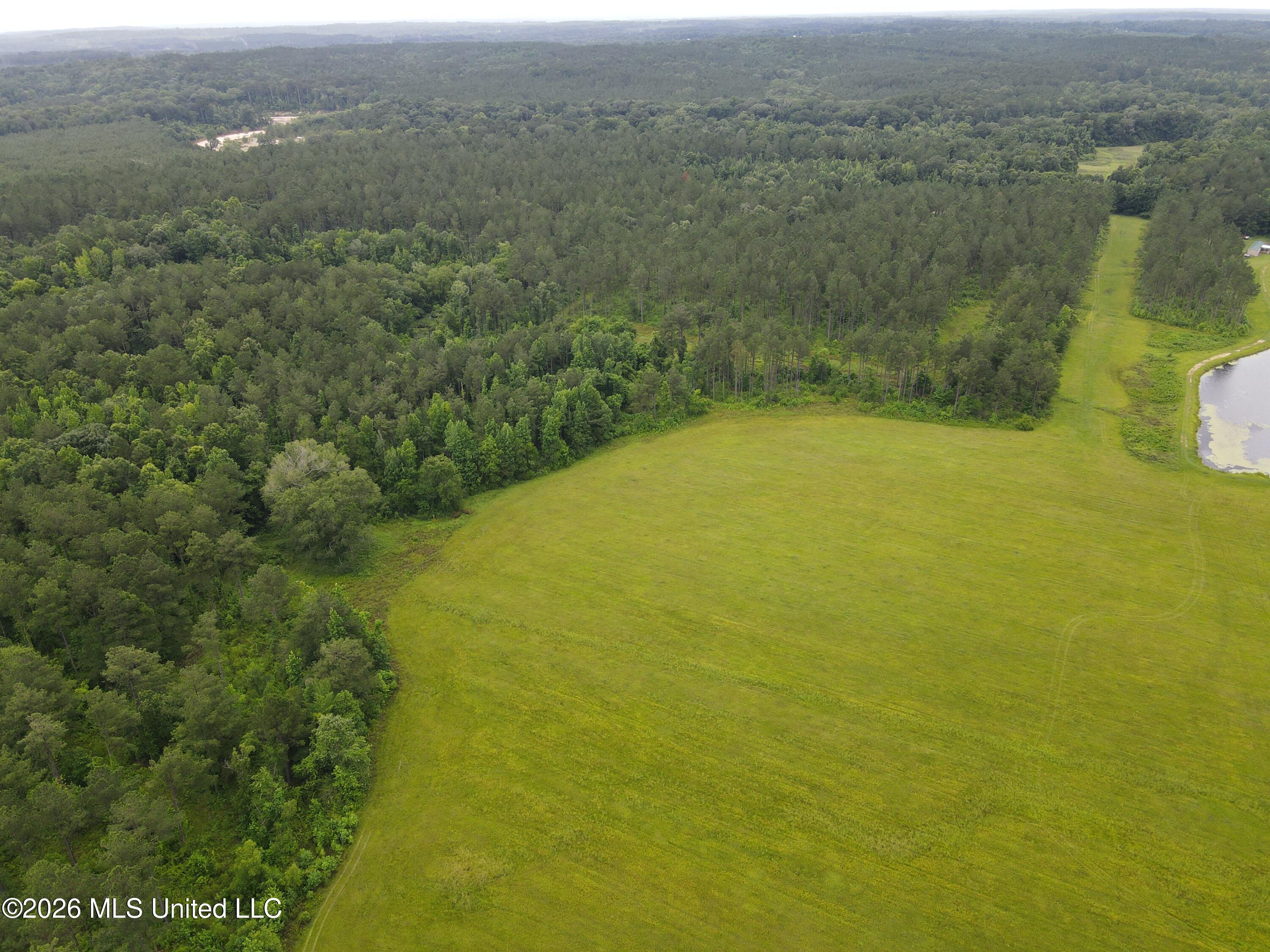 244 Foster Road Property Photo 88