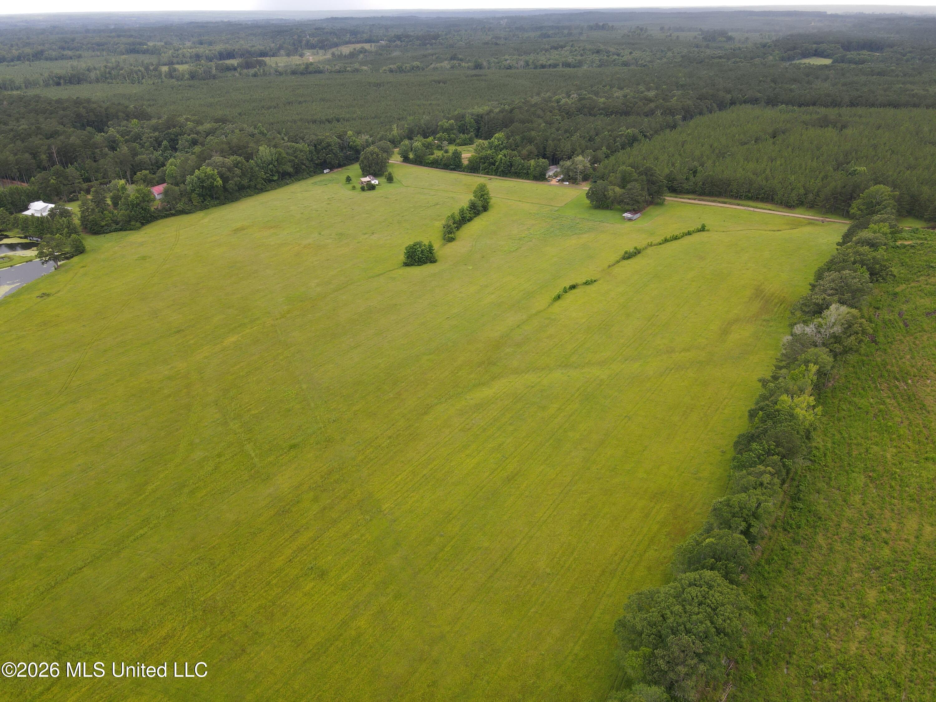 244 Foster Road Property Photo 89