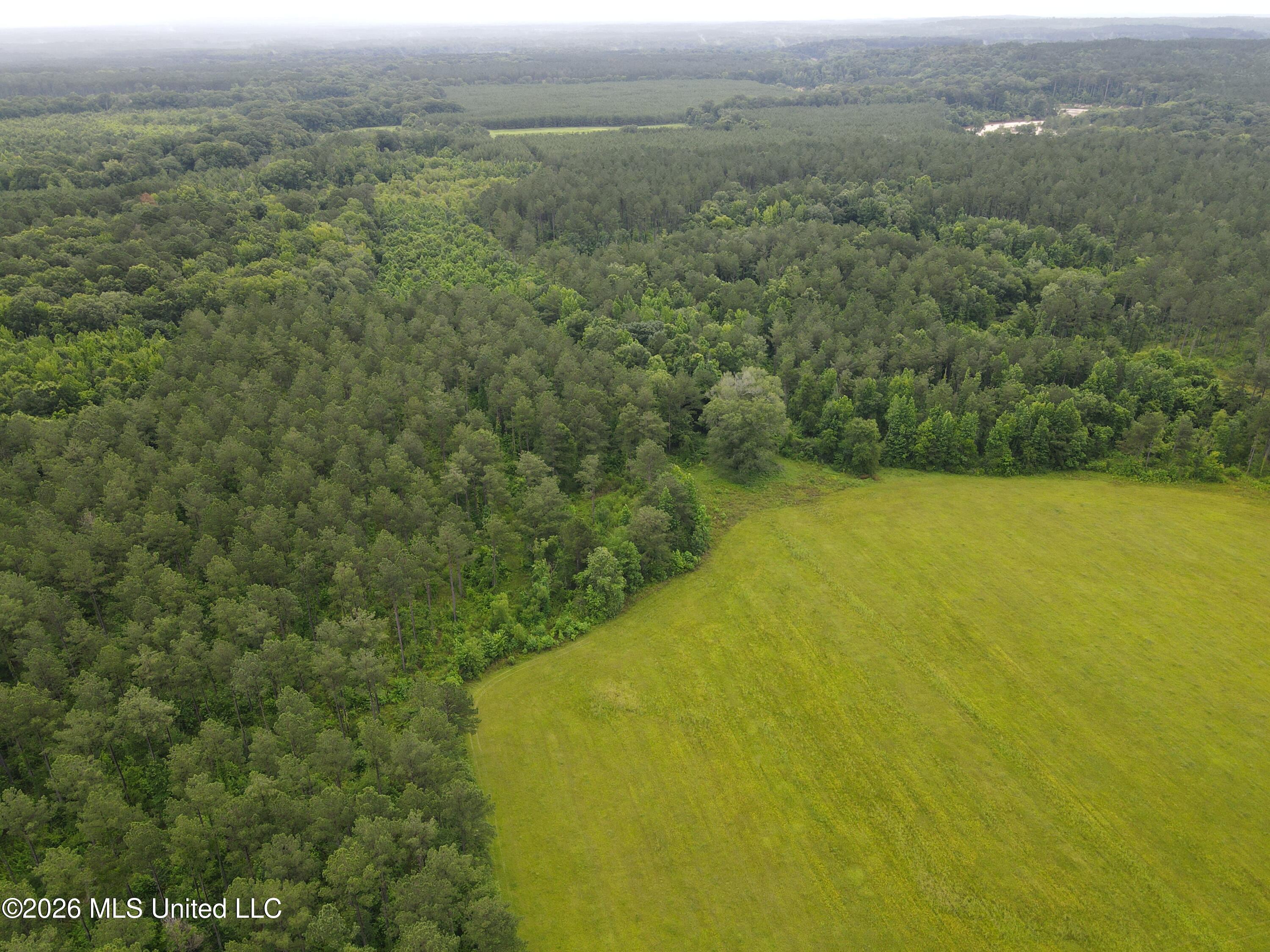 244 Foster Road Property Photo 90
