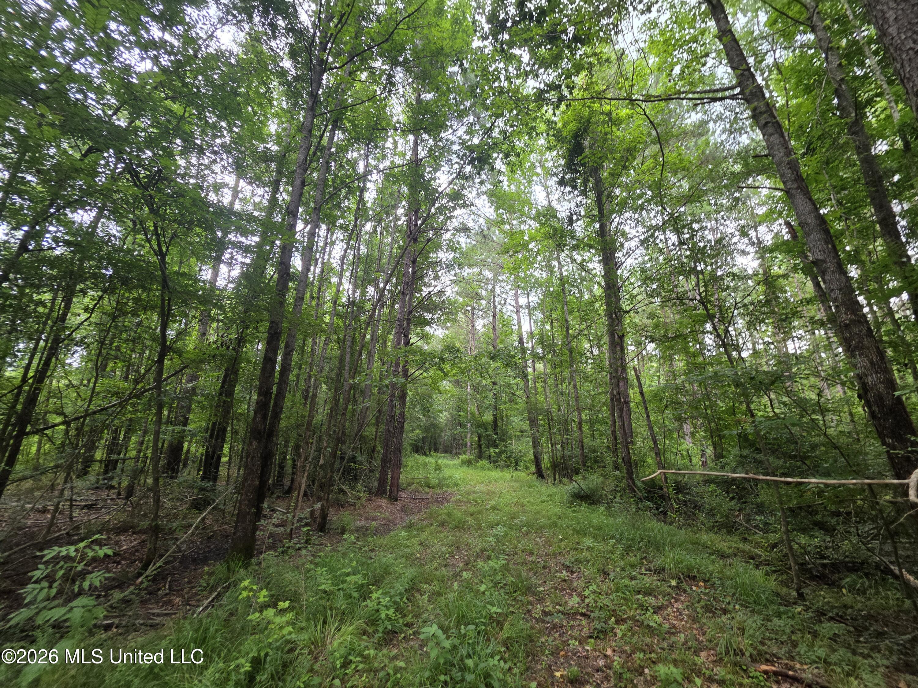244 Foster Road Property Photo 92