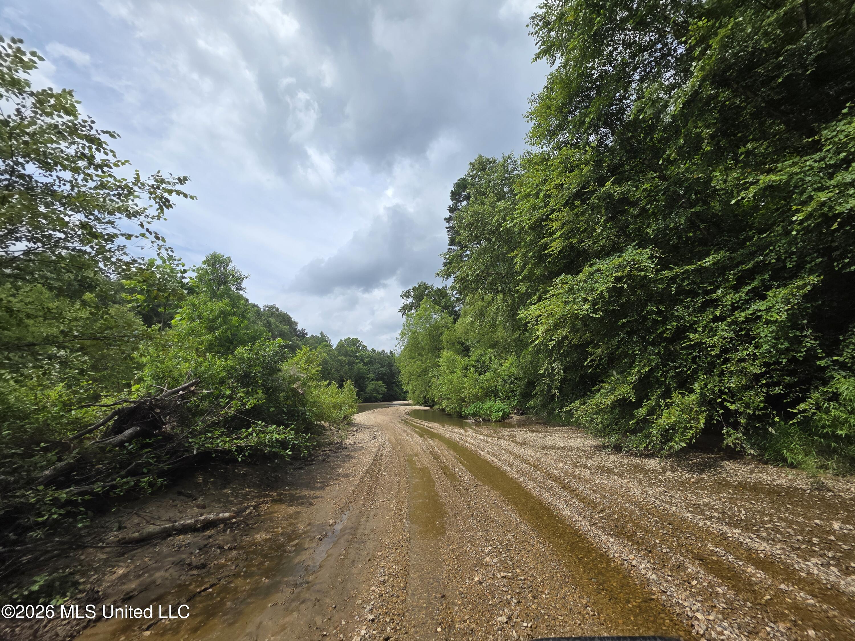 244 Foster Road Property Photo 101
