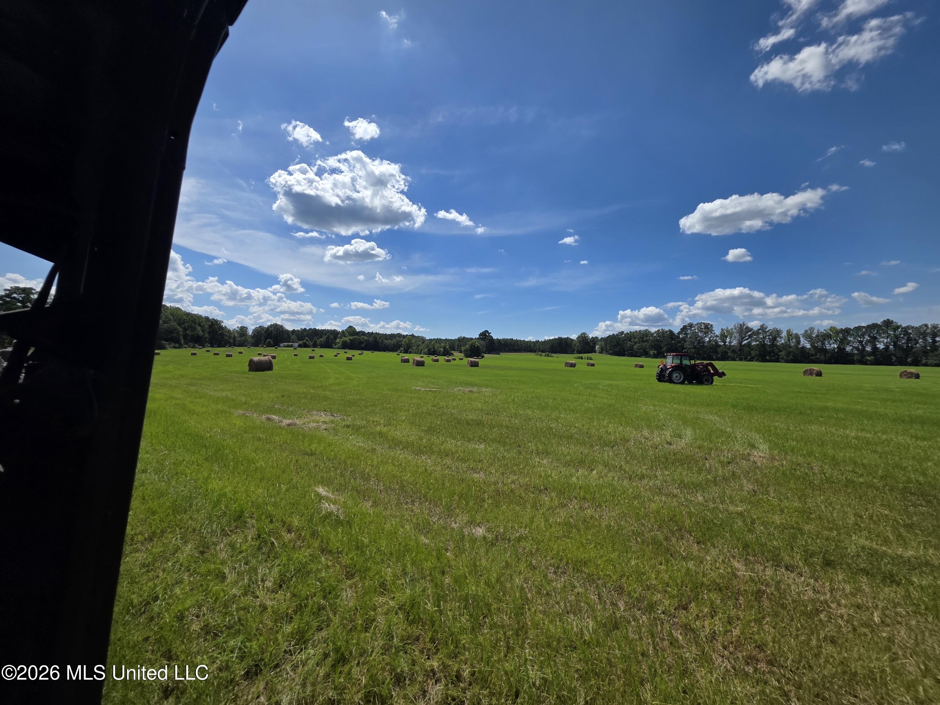244 Foster Road Property Photo 111