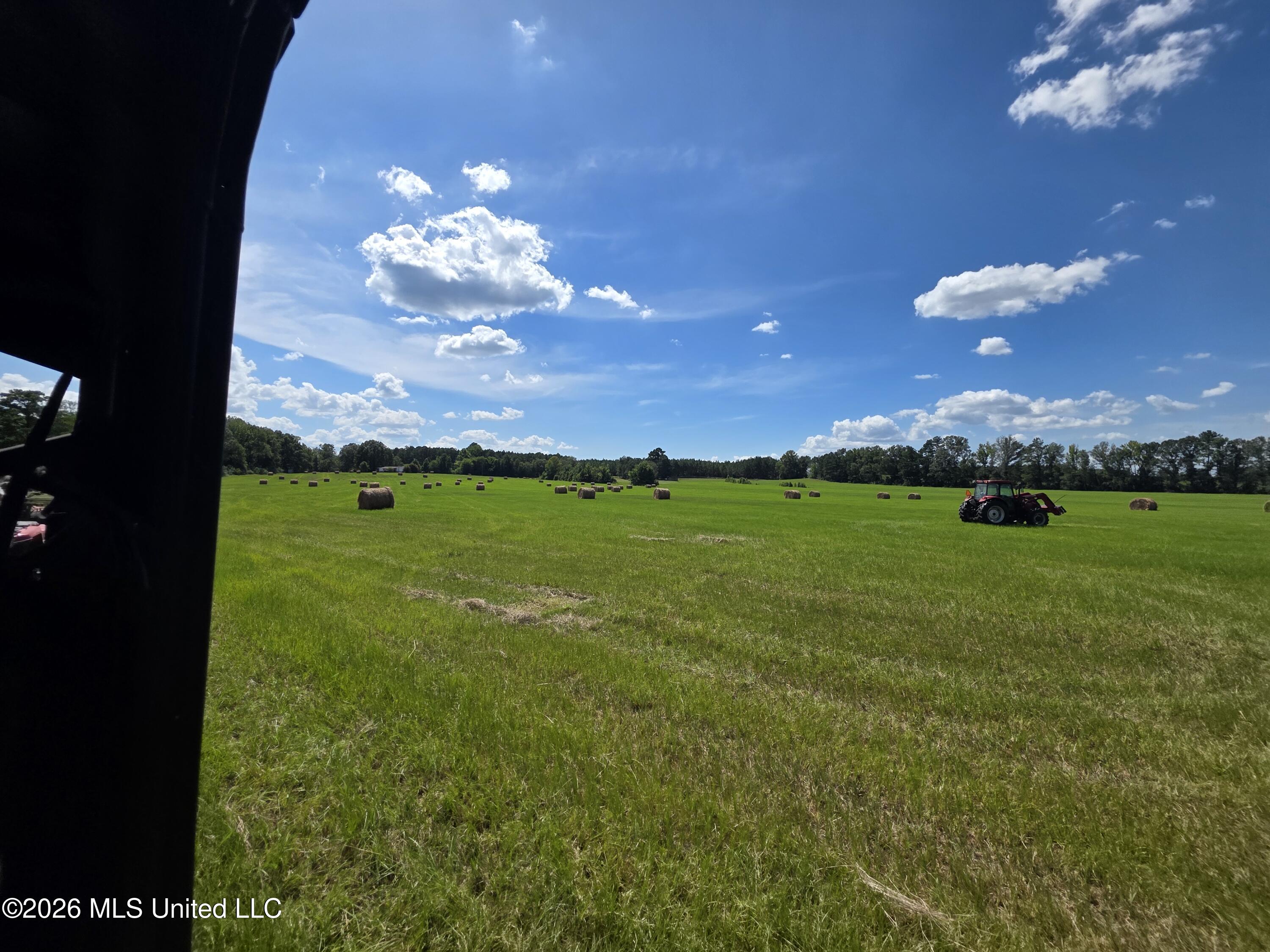 244 Foster Road Property Photo 112