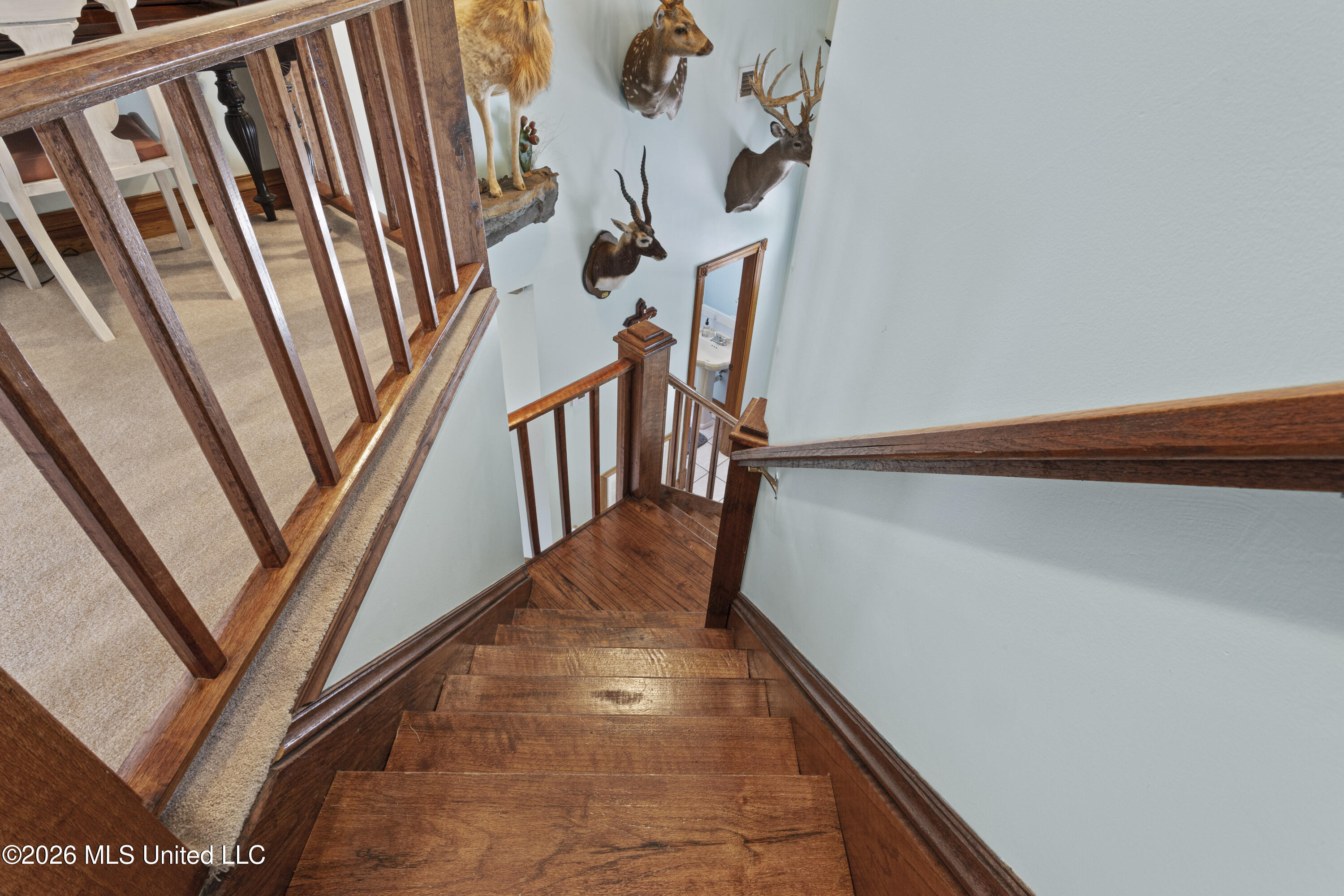 4502 Audubon Trail Property Photo 27