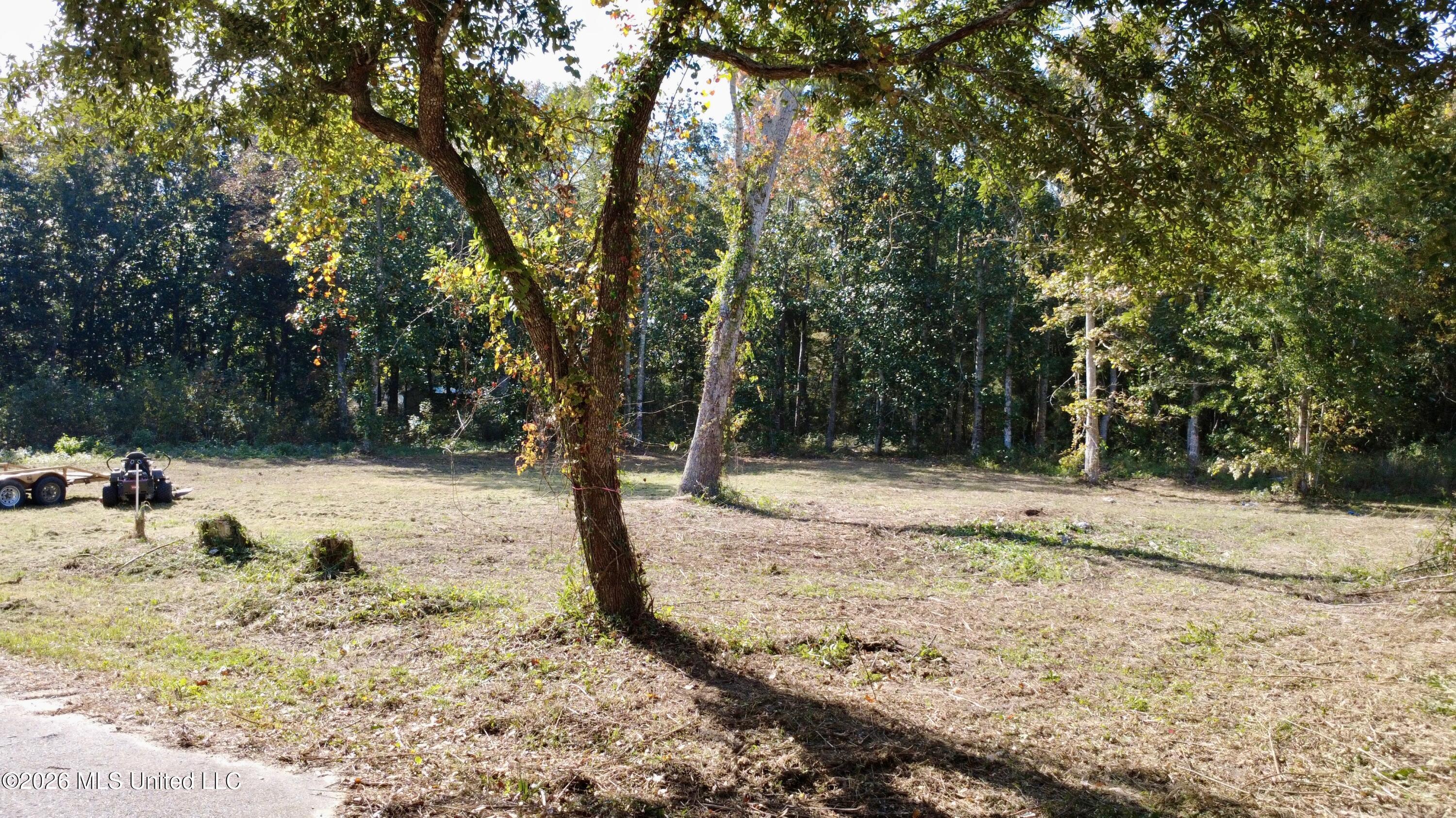 Loraine Street Property Photo 1