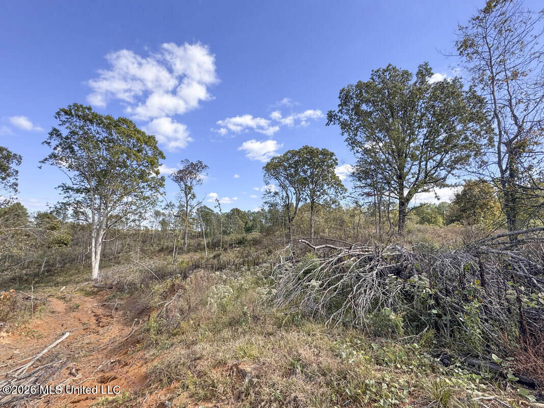 County Road 154 Property Photo 1