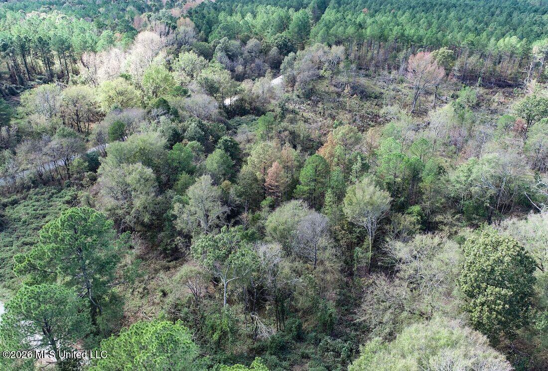 County Road 154 Property Photo 14