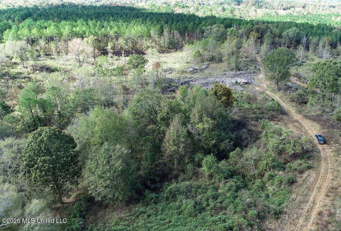 County Road 154 Property Photo 16