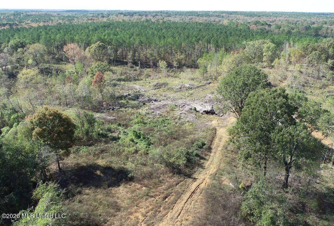 County Road 154 Property Photo 20