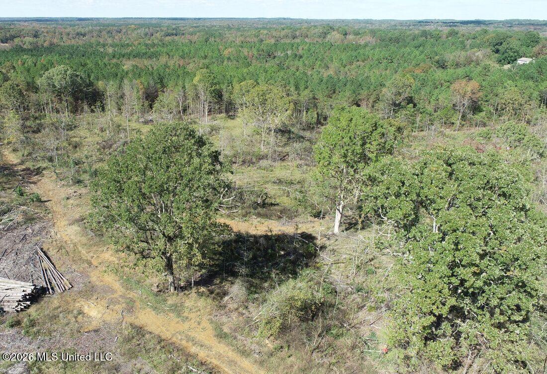 County Road 154 Property Photo 21