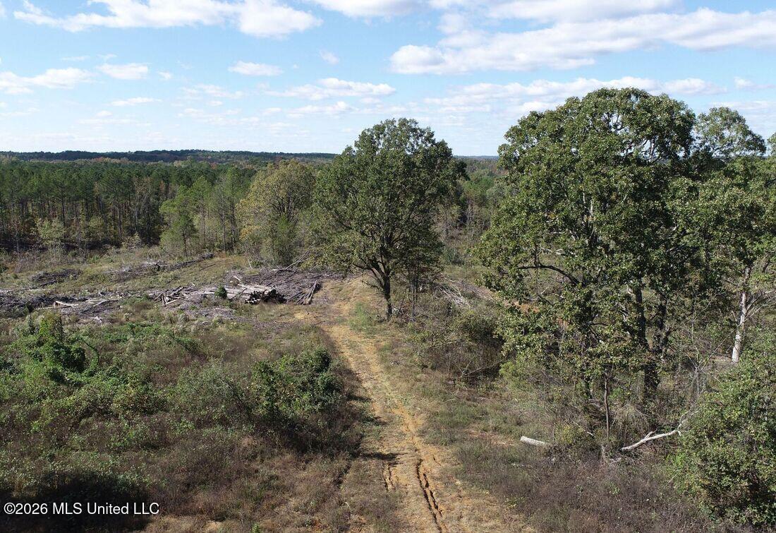 County Road 154 Property Photo 22