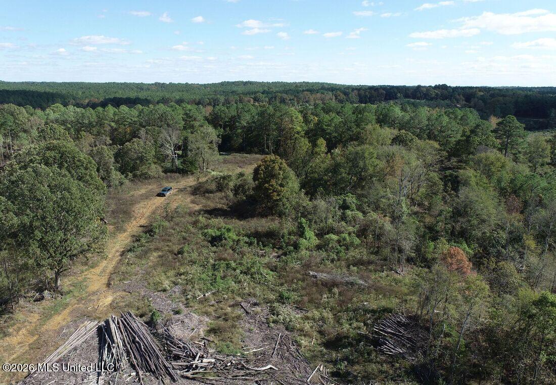 County Road 154 Property Photo 23