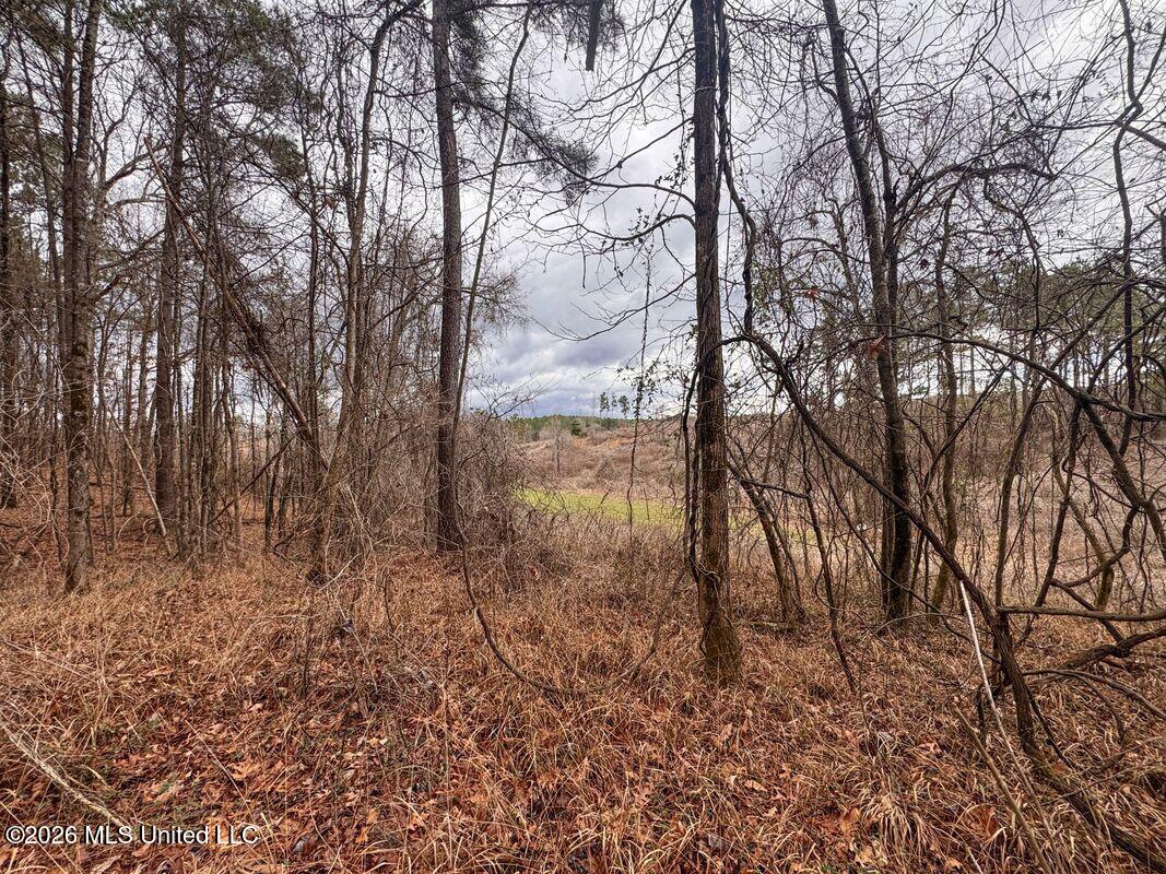 County Road 154 Property Photo 29