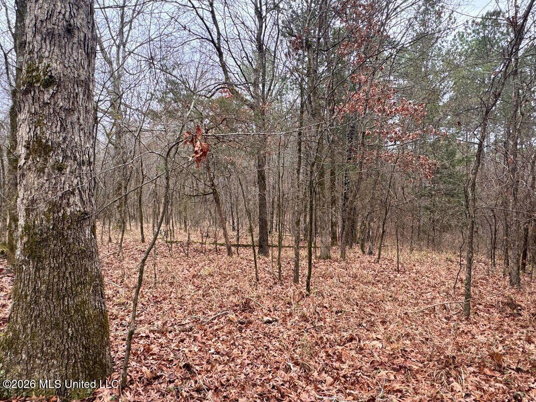 County Road 154 Property Photo 30