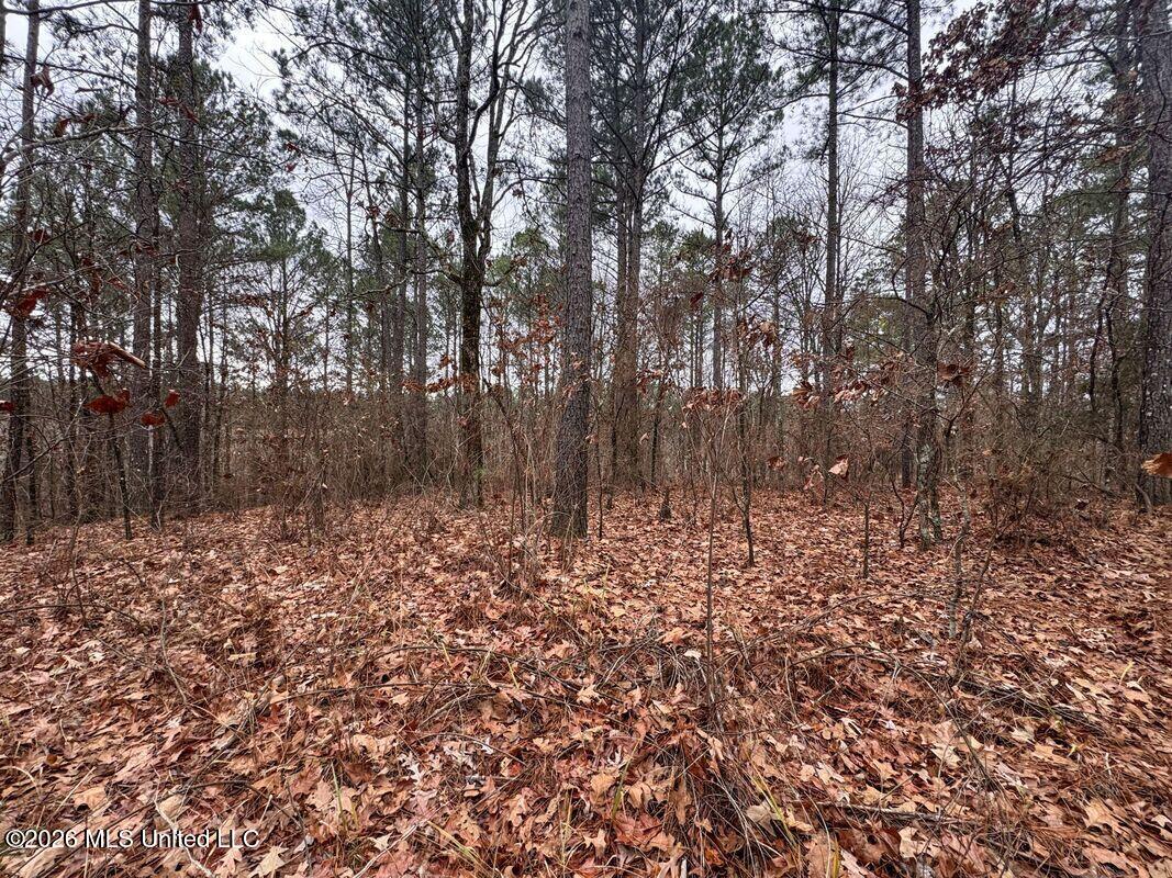County Road 154 Property Photo 32