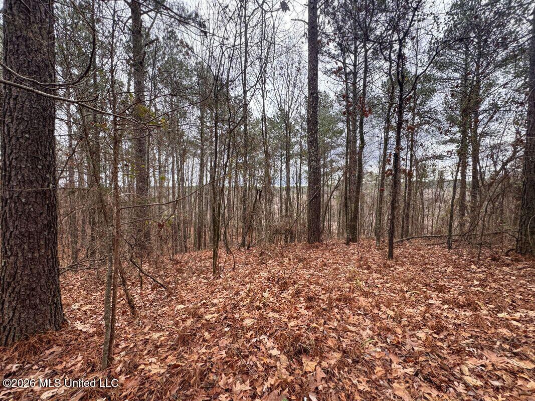 County Road 154 Property Photo 34