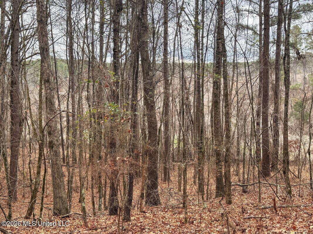County Road 154 Property Photo 35