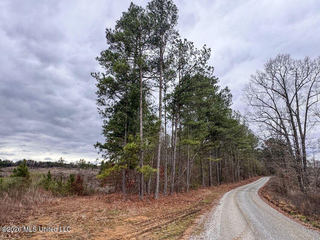 County Road 154 Property Photo 38
