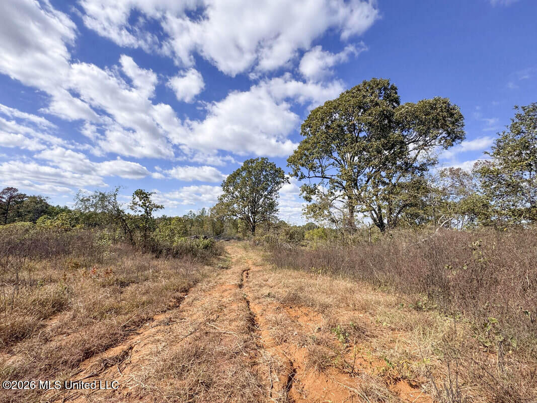 County Road 154 Property Photo 39