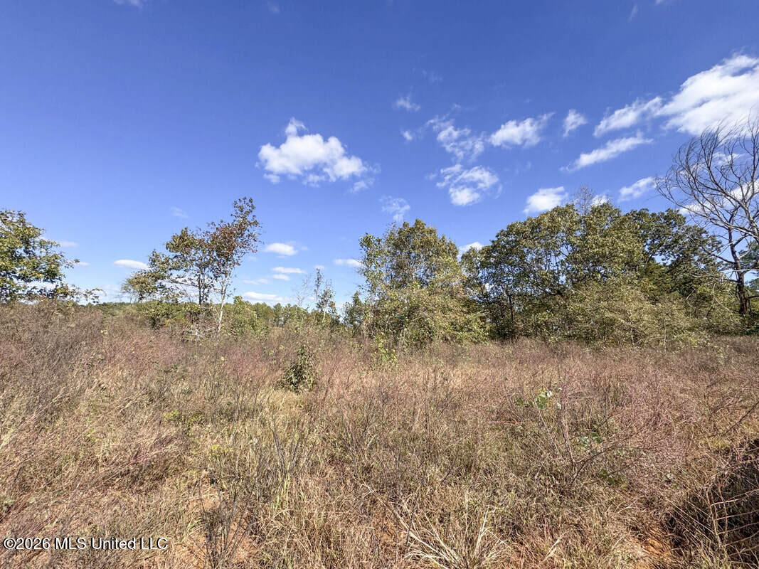 County Road 154 Property Photo 40