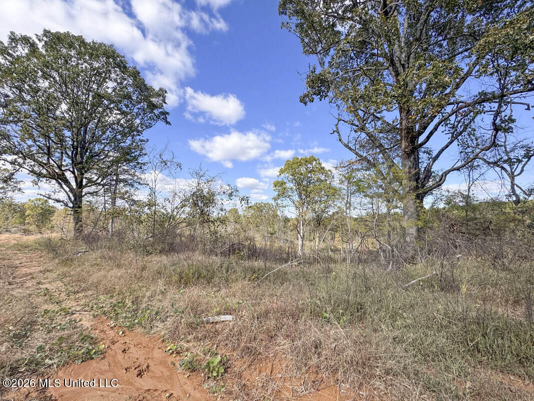 County Road 154 Property Photo 41