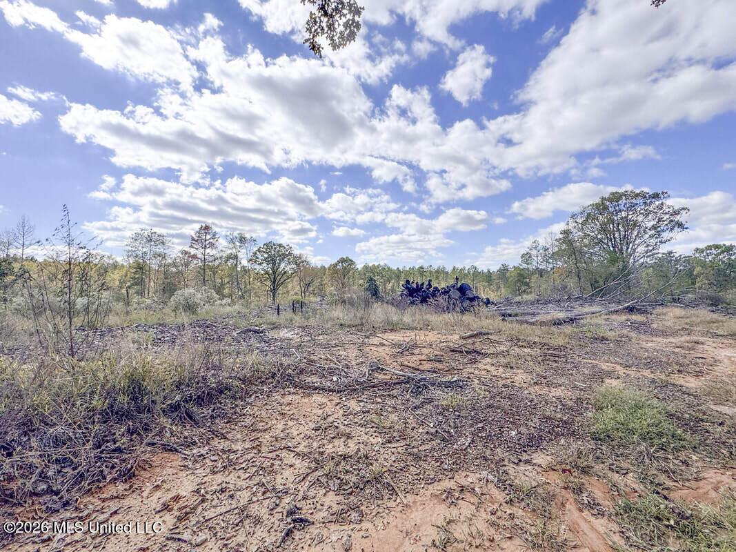 County Road 154 Property Photo 42