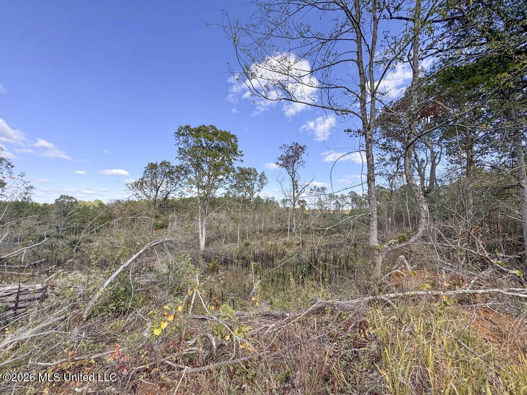 County Road 154 Property Photo 43