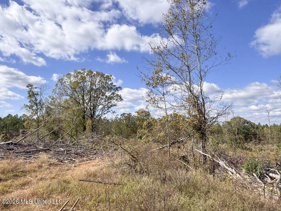 County Road 154 Property Photo 45