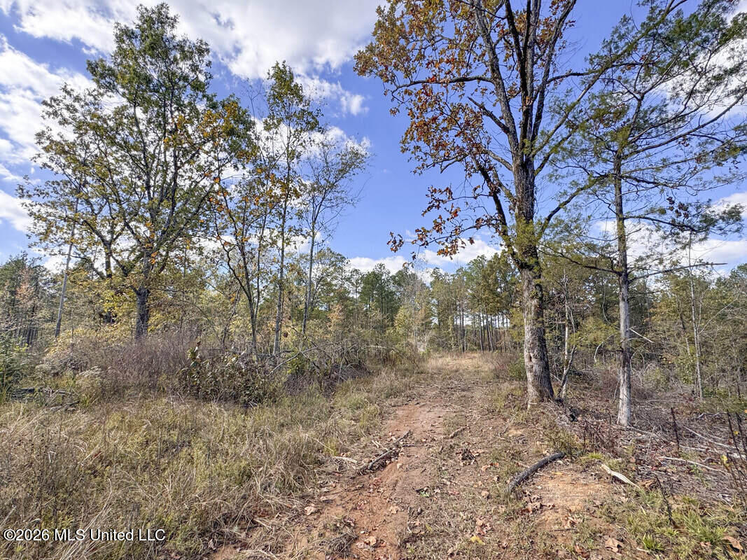 County Road 154 Property Photo 47