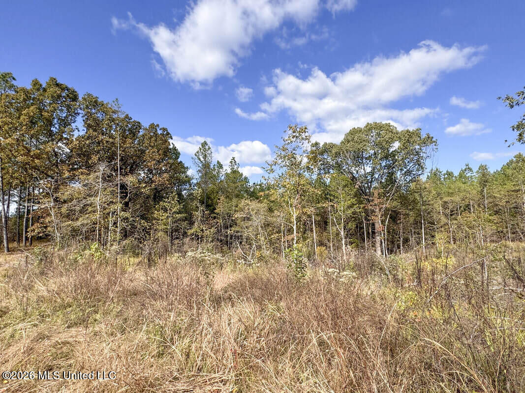 County Road 154 Property Photo 49