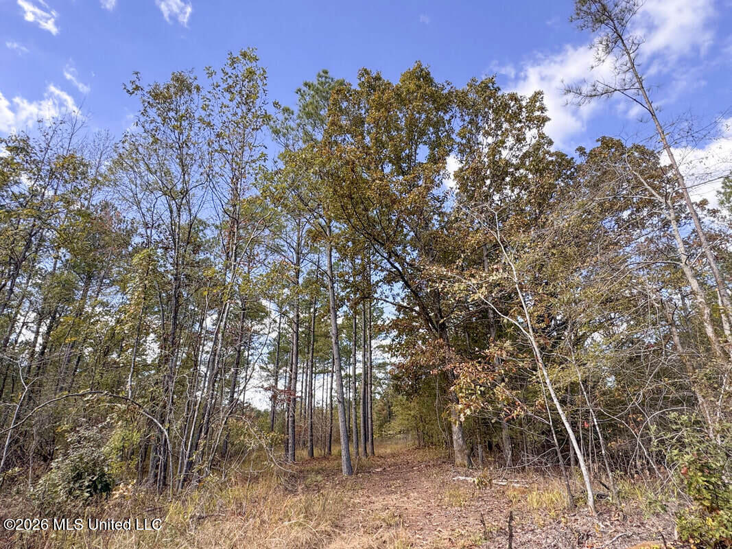 County Road 154 Property Photo 50
