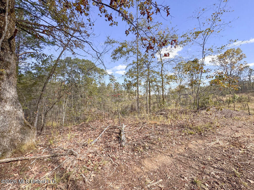County Road 154 Property Photo 51