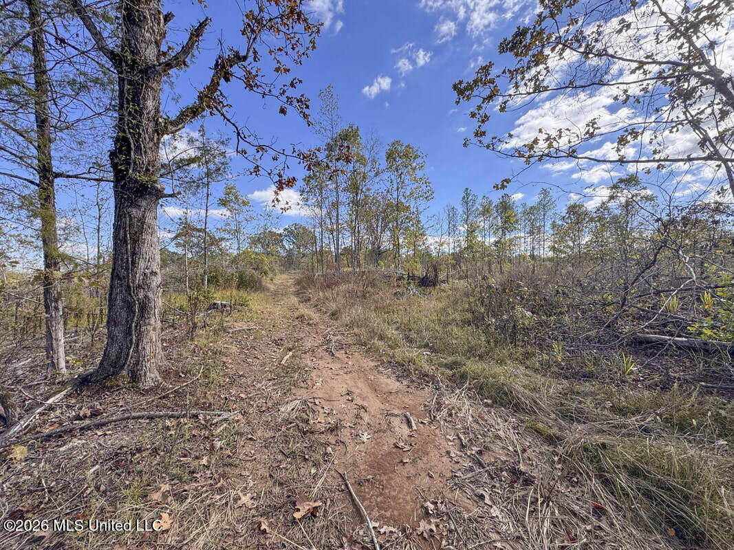 County Road 154 Property Photo 53
