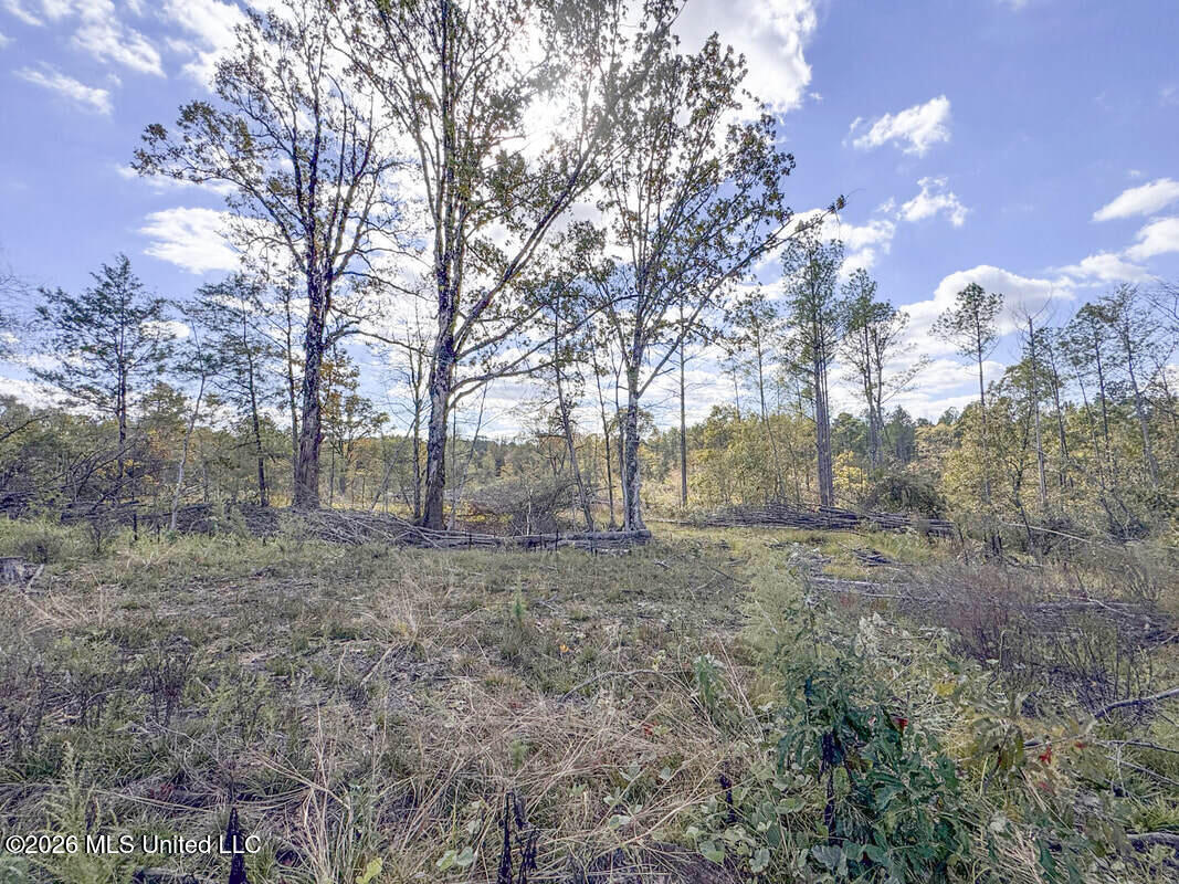 County Road 154 Property Photo 54